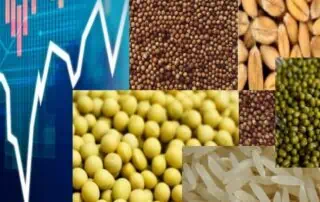 food crisis energy 06062022